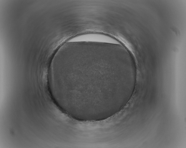 X0000113250009200910011356