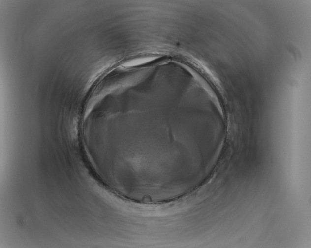 X0000113250010200910011356