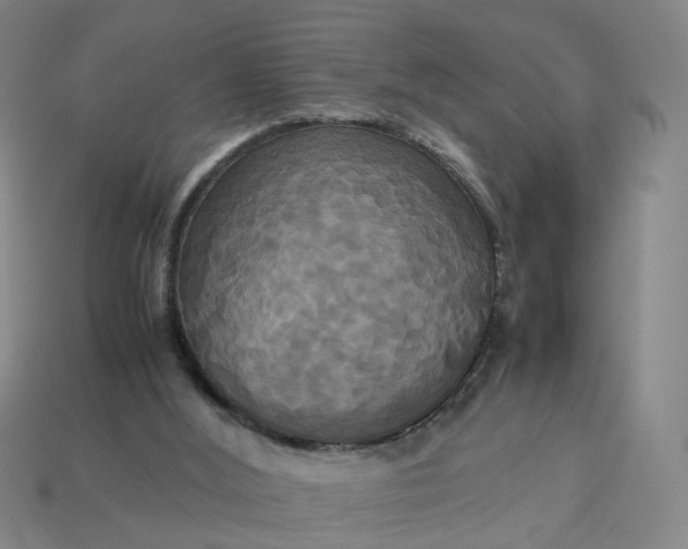 X0000113250012200910011356