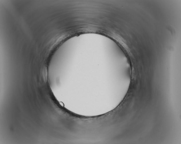 X0000113250013200910011356