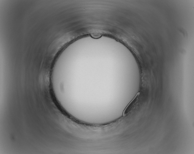 X0000113250015200910011356