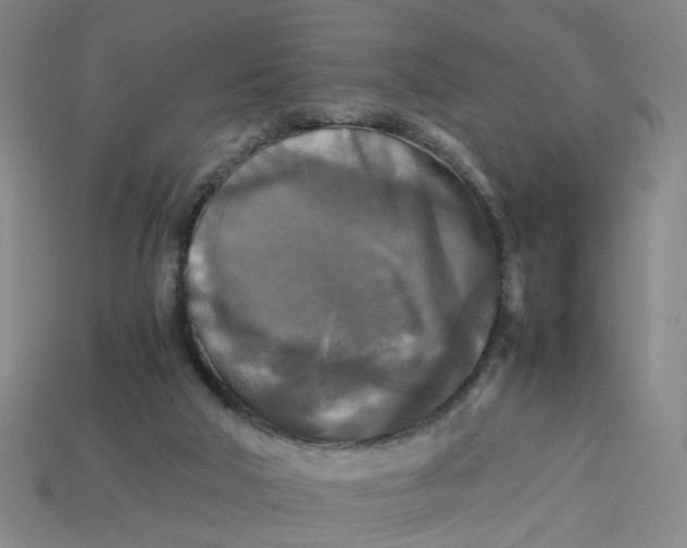 X0000113250018200910011355