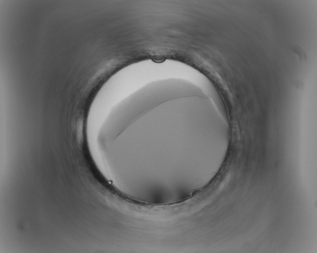 X0000113250019200910011355