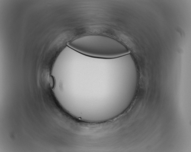 X0000113250021200910011355