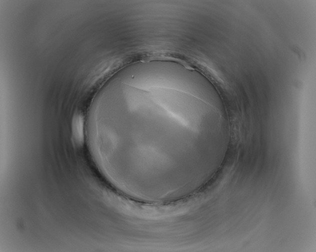 X0000113250022200910011355