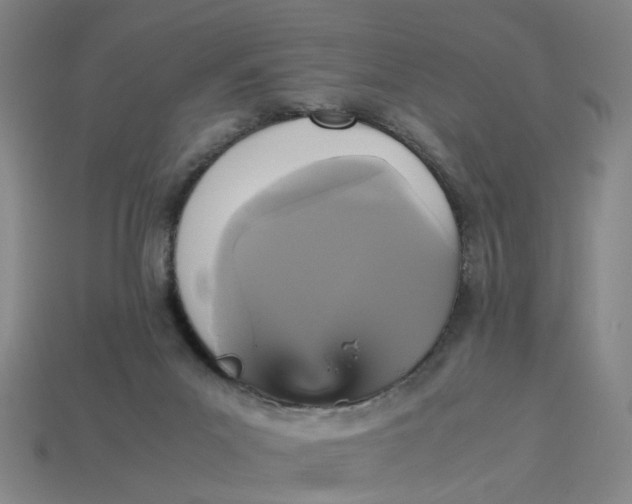 X0000113250023200910011355