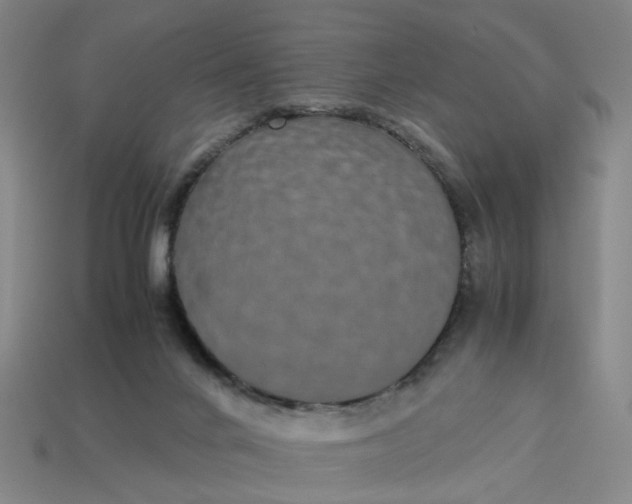 X0000113250024200910011355