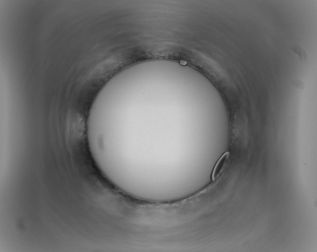 X0000113250025200910011355