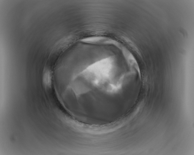 X0000113250026200910011355