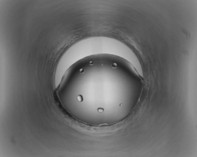 X0000113250027200910011355