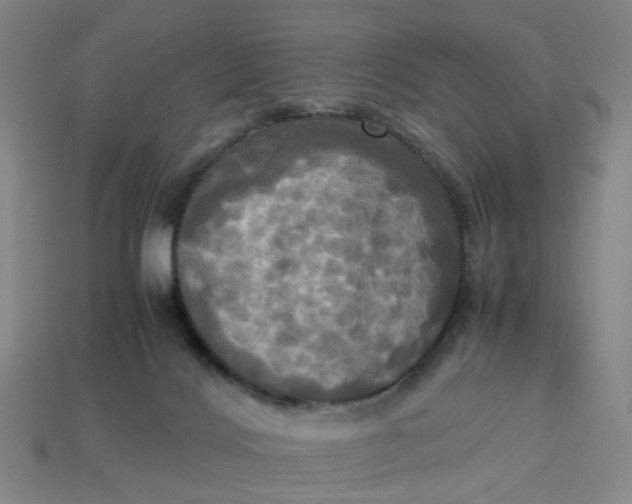 X0000113250028200910011355