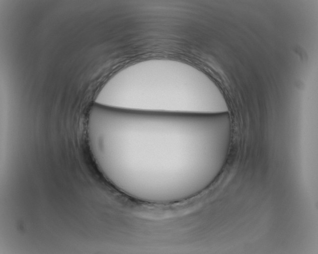 X0000113250029200910011355