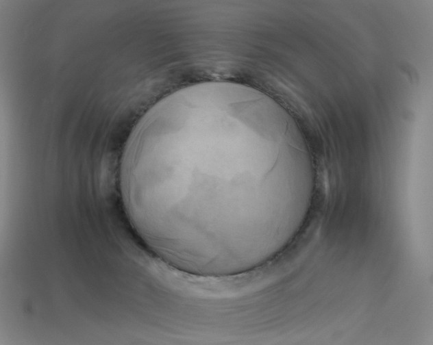 X0000113250030200910011355