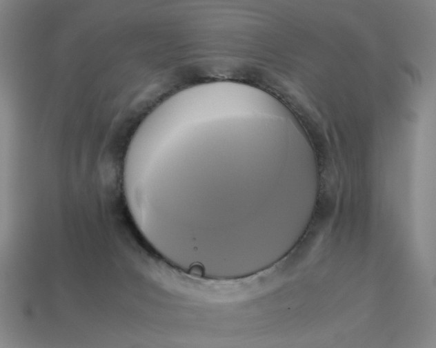 X0000113250031200910011355