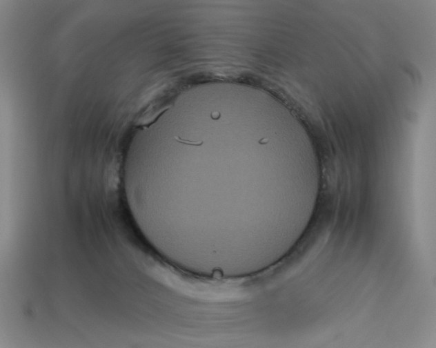 X0000113250032200910011355