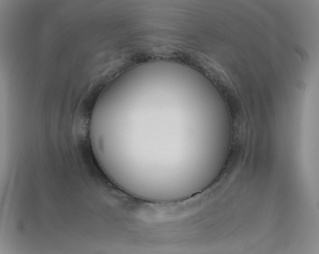 X0000113250033200910011355