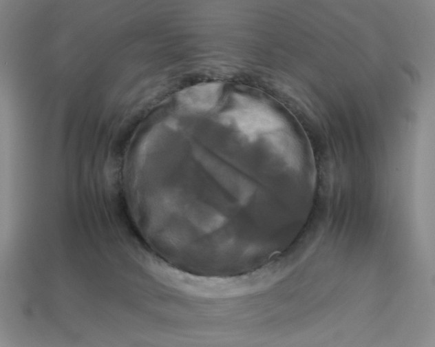 X0000113250034200910011355