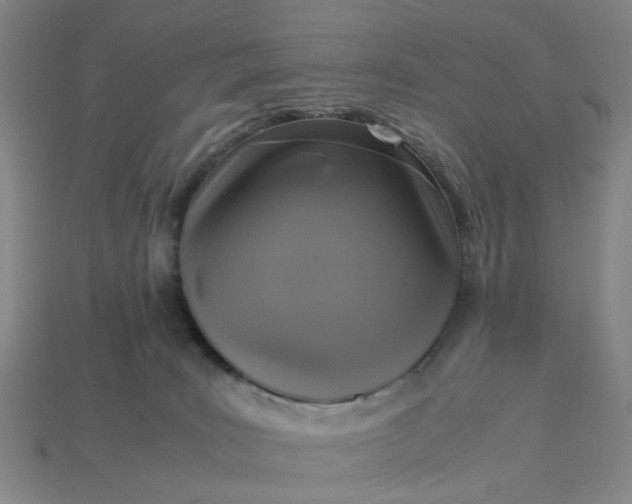 X0000113250035200910011355