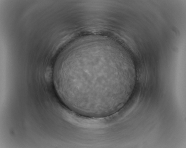 X0000113250036200910011355