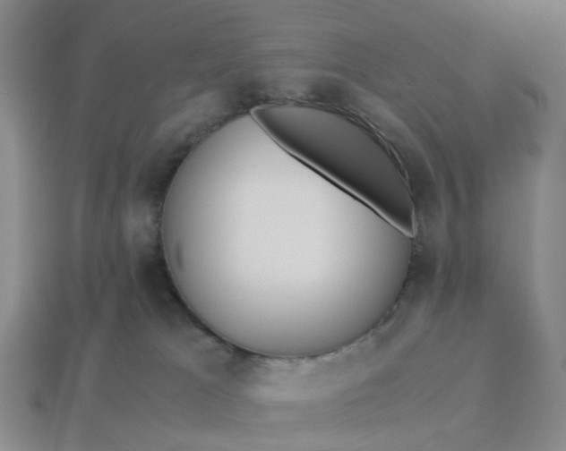 X0000113250037200910011355