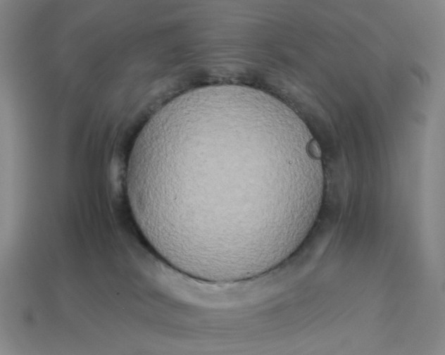 X0000113250038200910011355