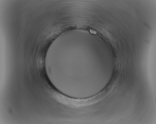 X0000113250039200910011355