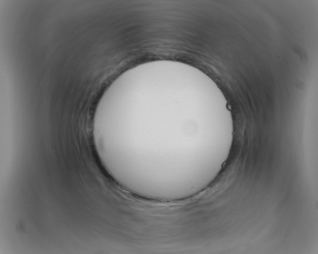 X0000113250040200910011355