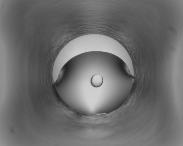 X0000113250041200910011355