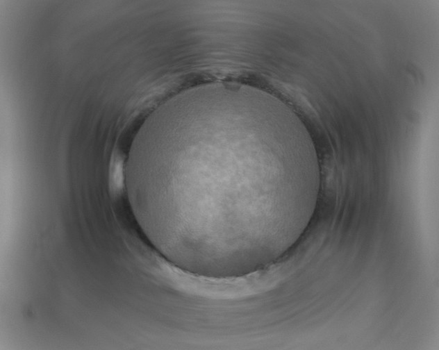 X0000113250042200910011355