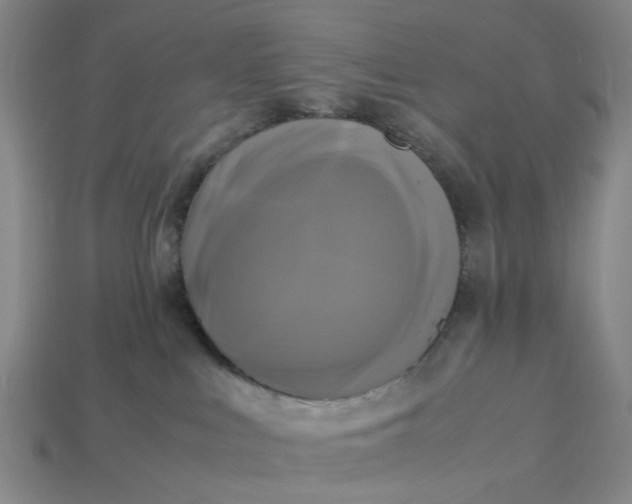 X0000113250043200910011355