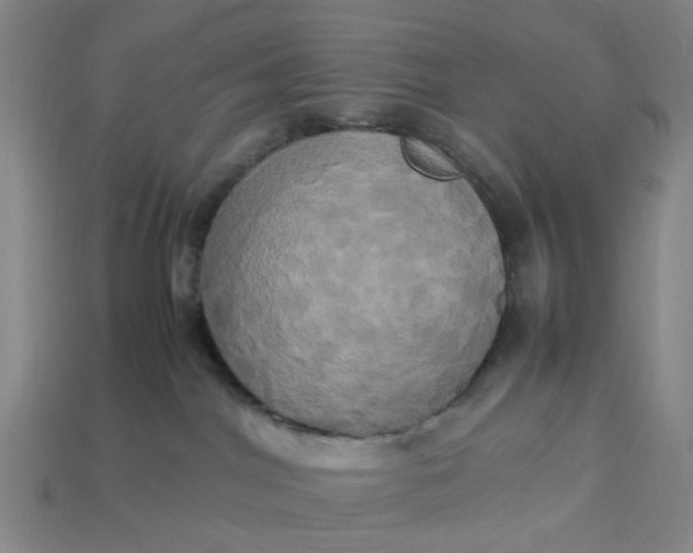 X0000113250044200910011355