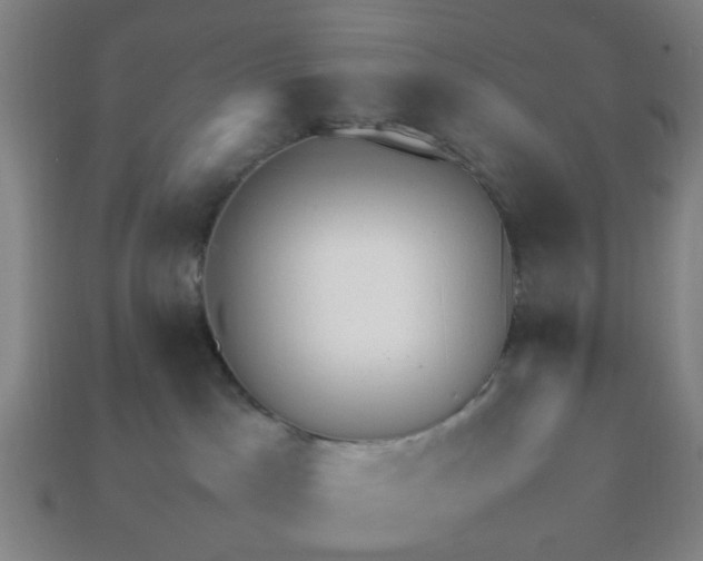 X0000113250045200910011355