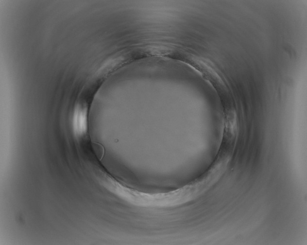 X0000113250046200910011355