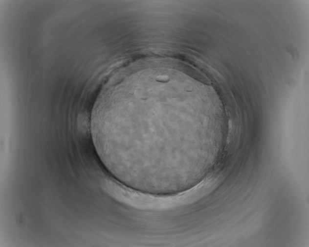 X0000113250048200910011355