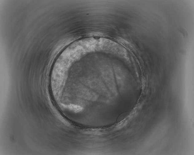 X0000113250049200910011354