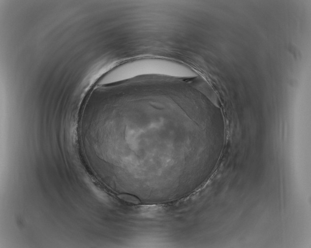 X0000113250050200910011354