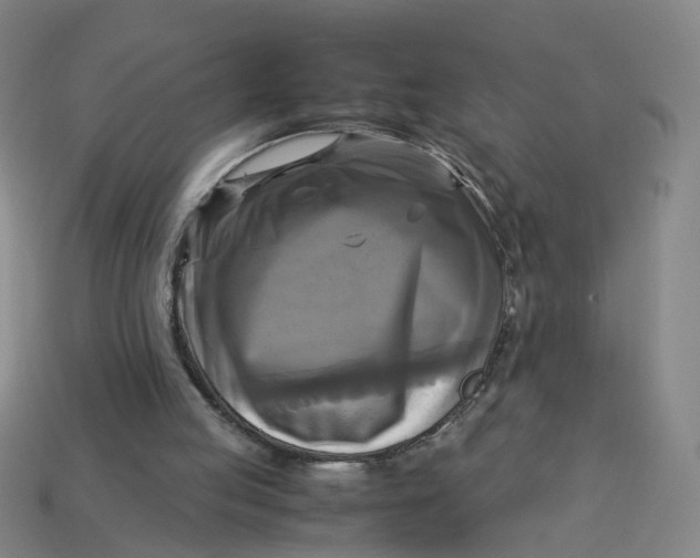 X0000113250053200910011355