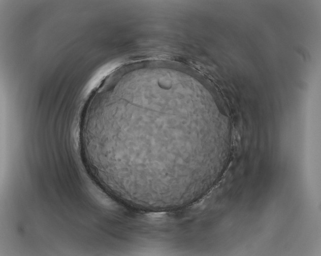 X0000113250054200910011355