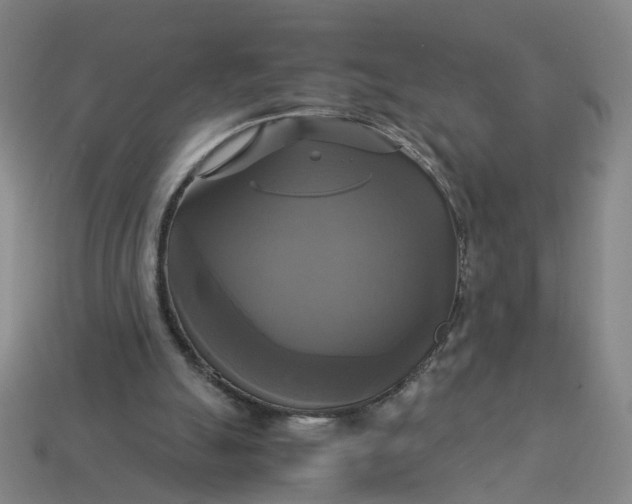 X0000113250055200910011355