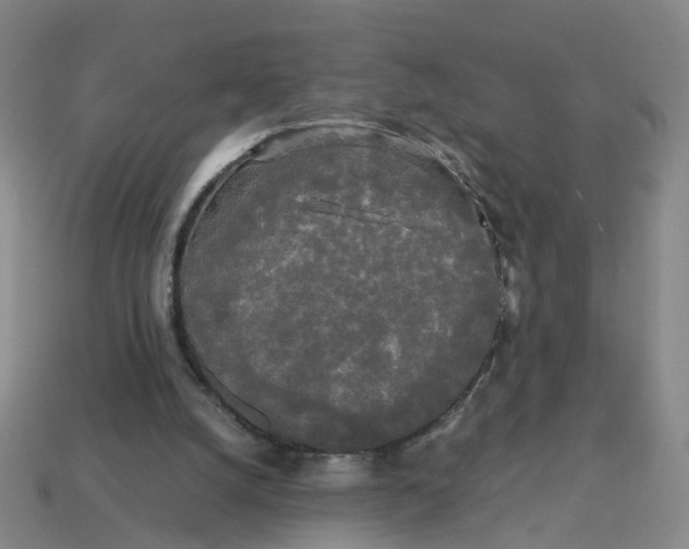 X0000113250056200910011355