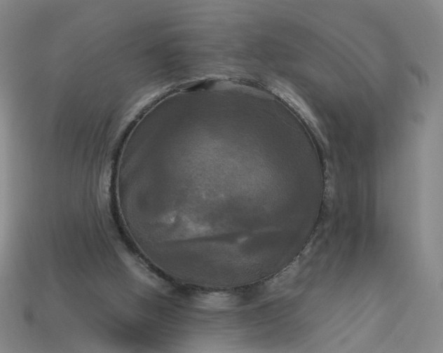 X0000113250058200910011355