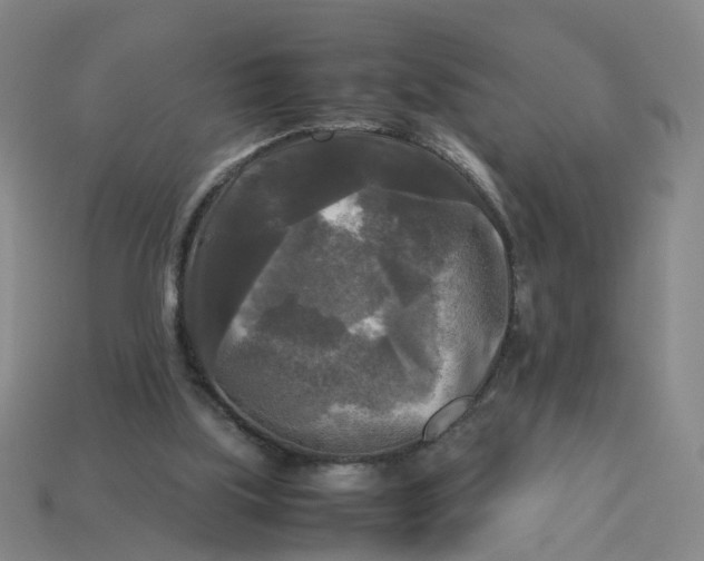 X0000113250059200910011355