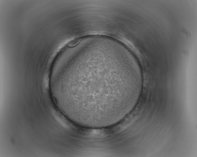 X0000113250060200910011355