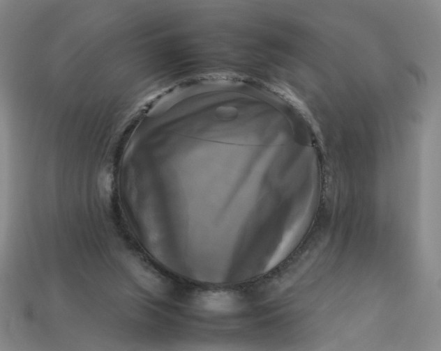 X0000113250063200910011355