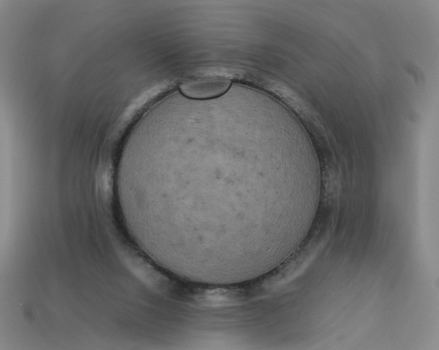 X0000113250064200910011355