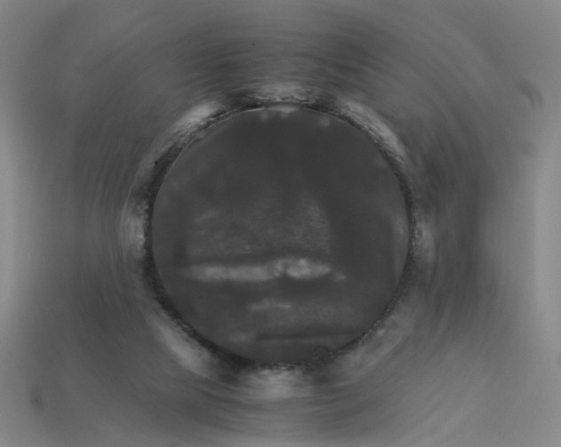 X0000113250065200910011355