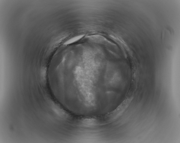 X0000113250066200910011355