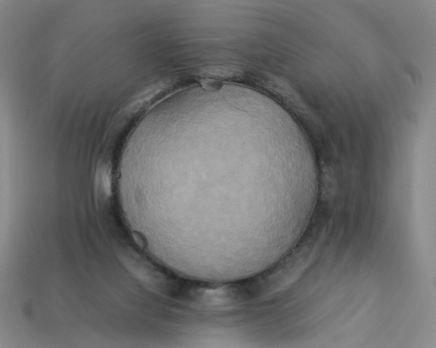 X0000113250068200910011355