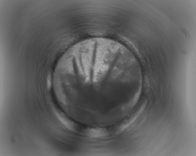 X0000113250069200910011355