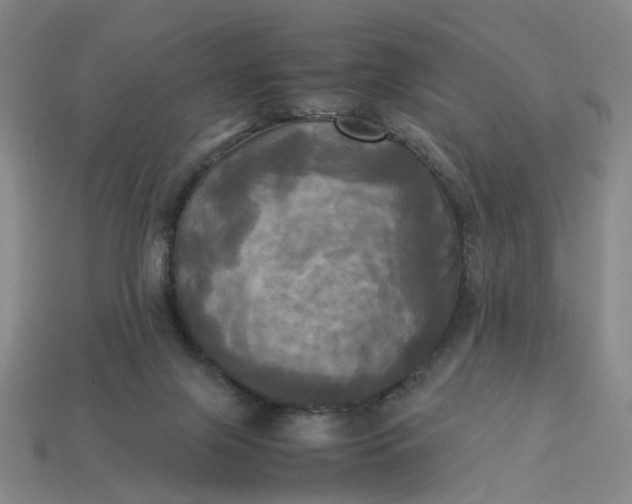 X0000113250071200910011355